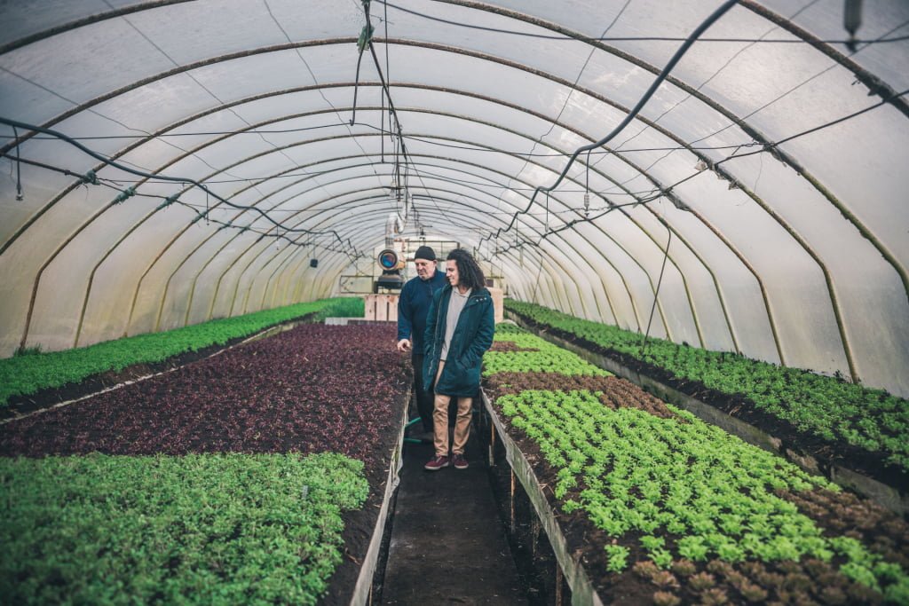 MakeGrowLab, czyli ekologiczna rewolucja [Rekin biznesu radzi]